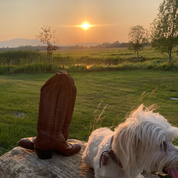 Shoes - Cowgirl Western boots
